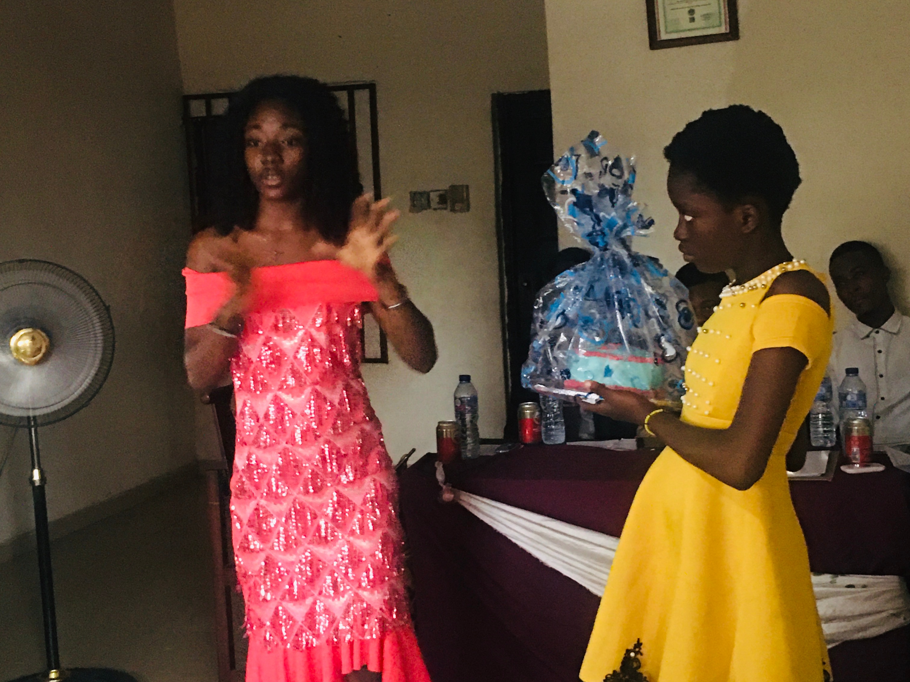 TSWorld Skills Acquisition Programme.